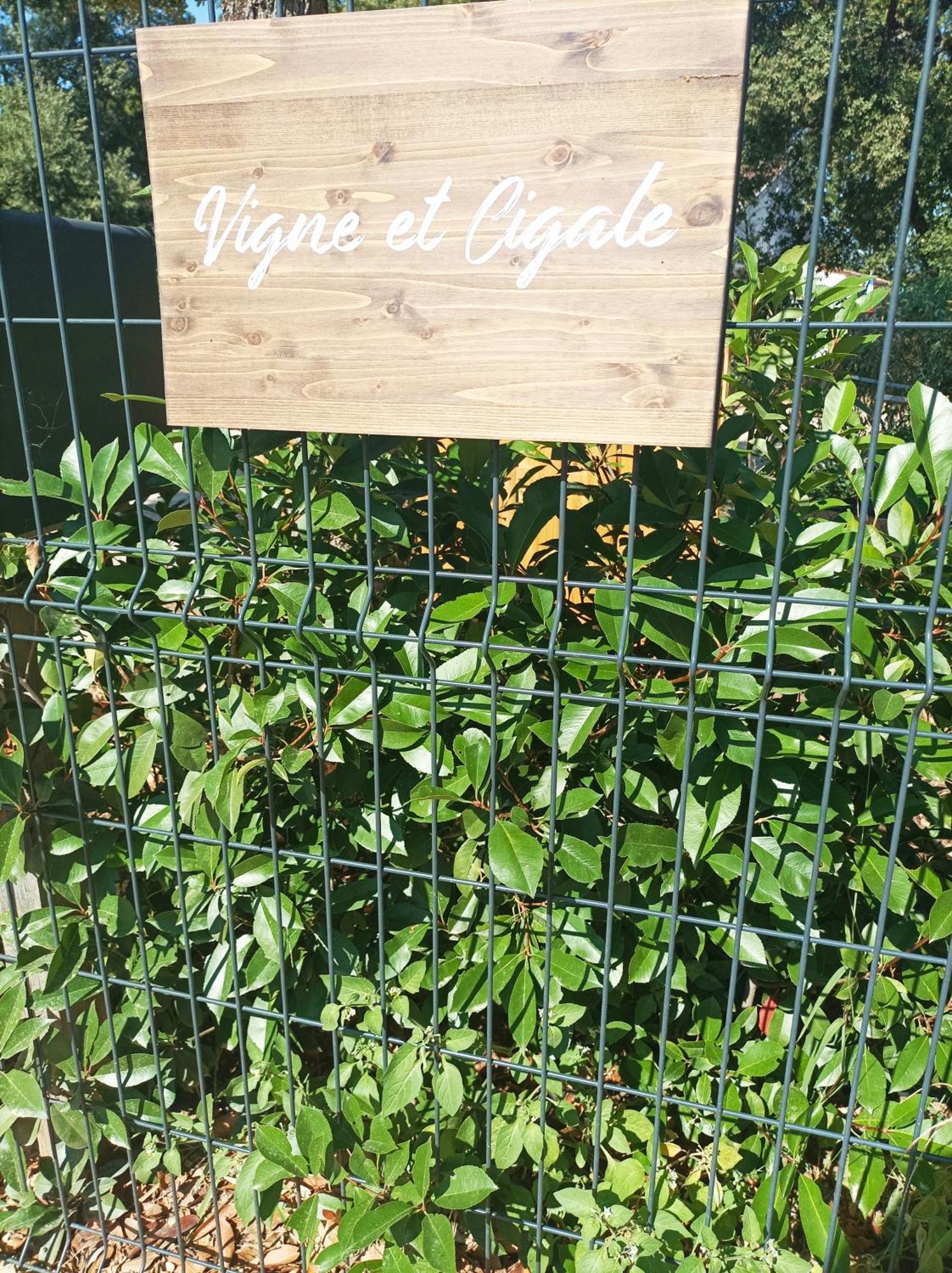 דירות לה טורונה Vigne Et Cigale מראה חיצוני תמונה